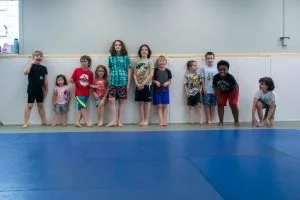 Rochester Phoenix Martial Arts academy photo