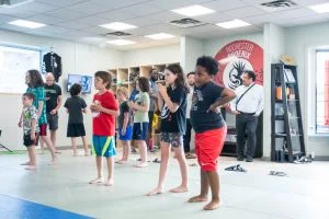 Rochester Phoenix Martial Arts academy photo