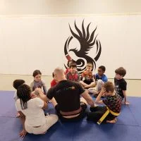 Rochester Phoenix Martial Arts academy photo