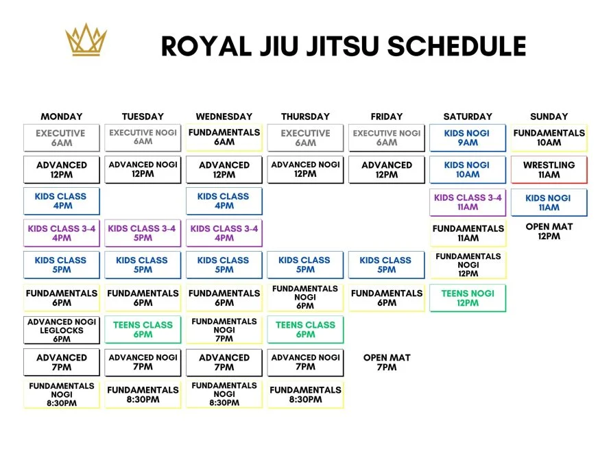 Royal Jiu Jitsu academy photo