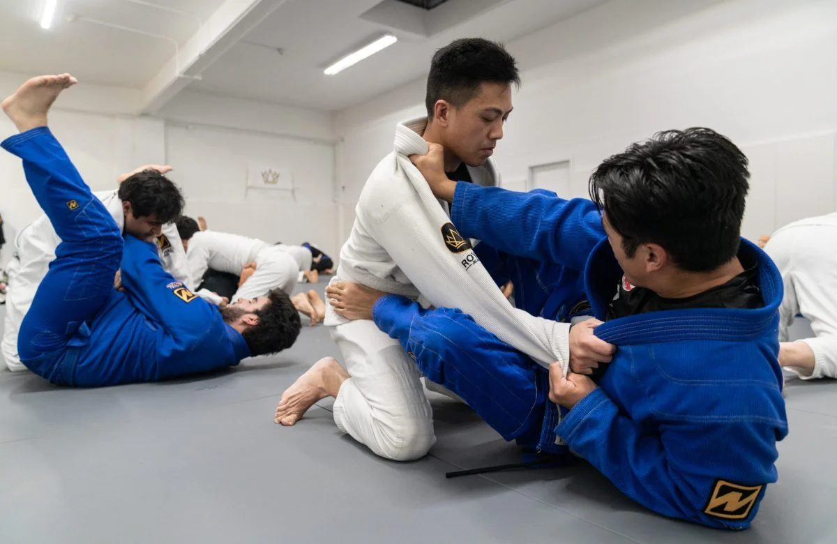 Royal Jiu Jitsu academy photo