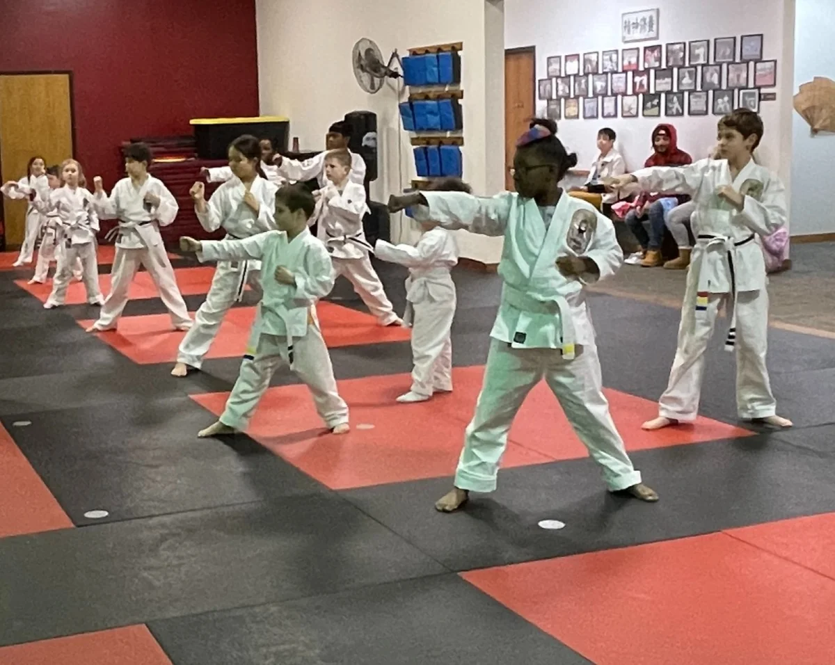 SAMURAI MARTIAL ARTS academy photo