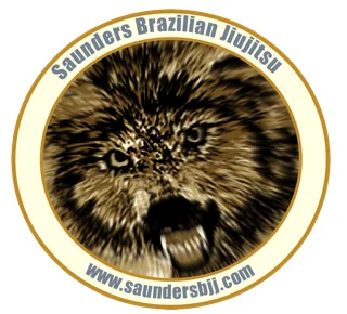 Synthesis Brazilian Jiu-Jitsu academy photo