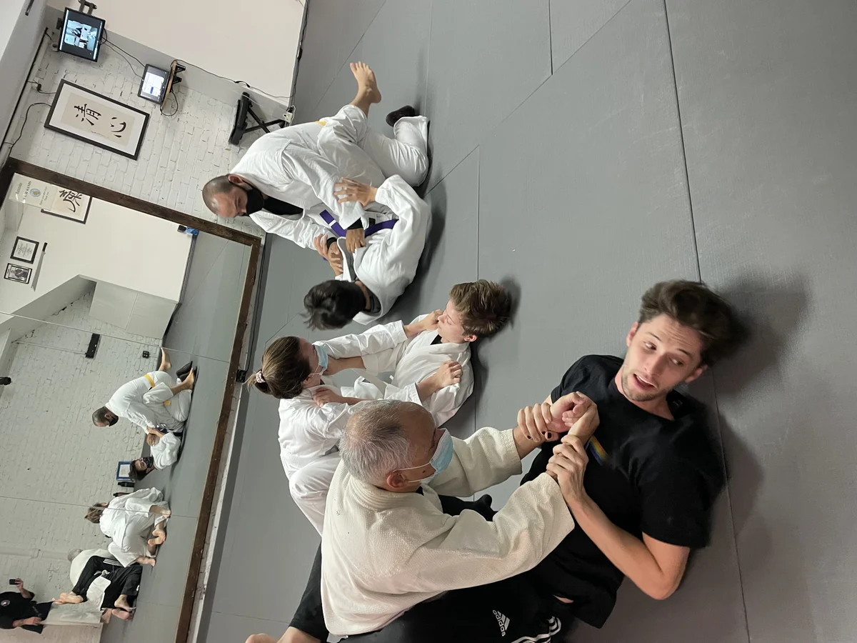 Sei Shin Dojo - Goshin Jiu Jitsu / Pekiti Tirsia Kali visual