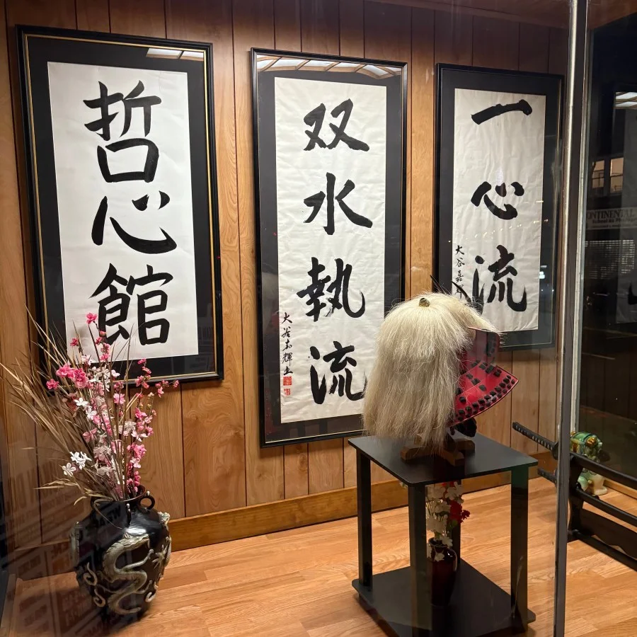 Seibukan Dojo academy photo