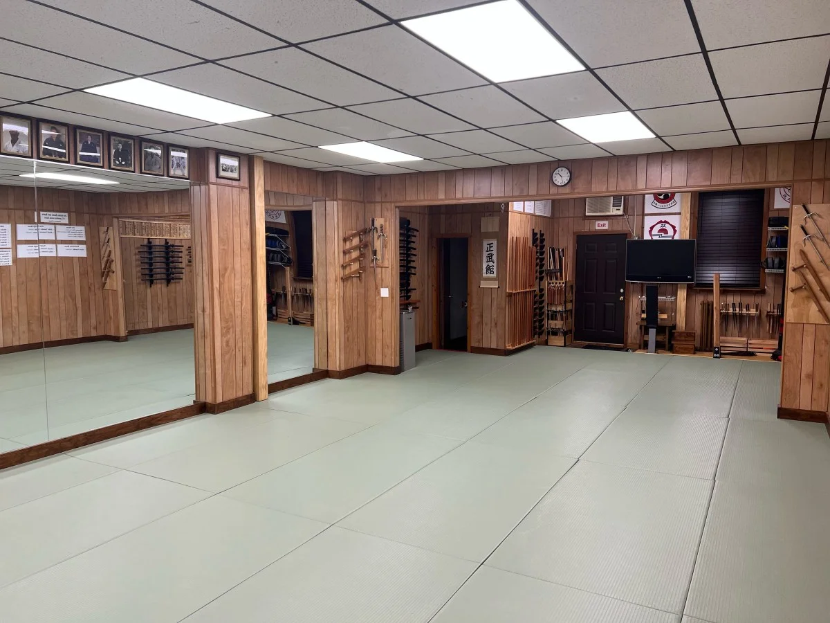 Seibukan Dojo academy photo