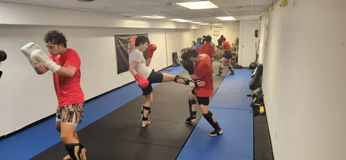 Self-Reliance Kickboxing and Alchemy MMA (joined forces) academy photo