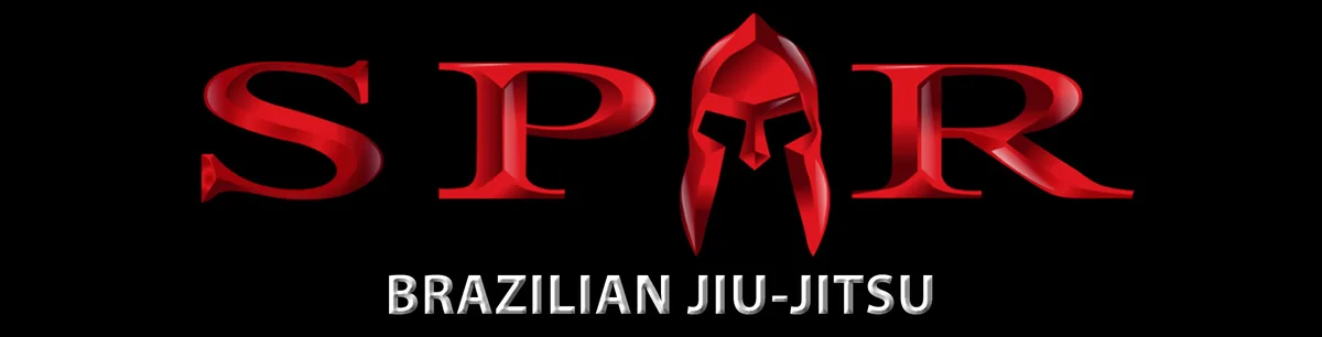 SPAR Self Defense academy photo