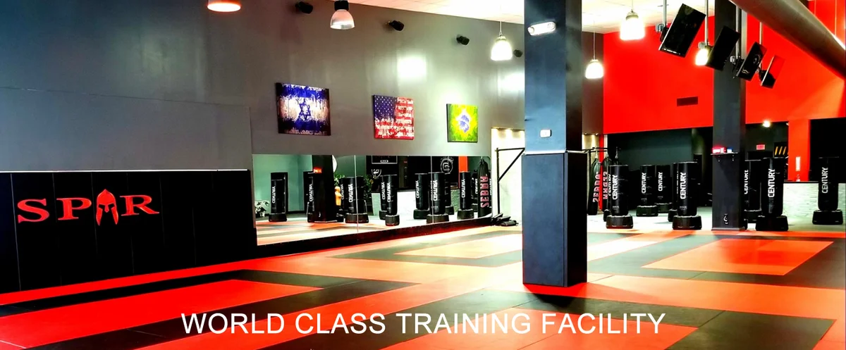SPAR Self Defense academy photo
