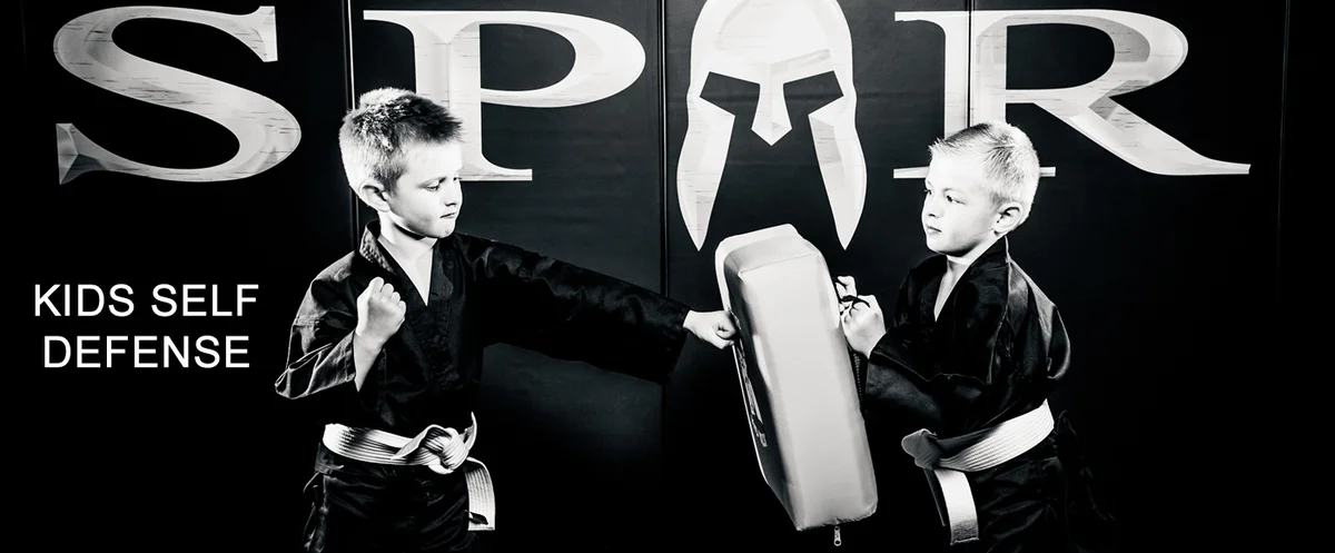 SPAR Self Defense facility image