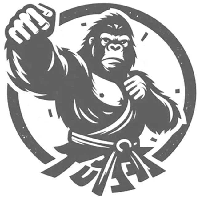 Sullivan's MMA academy photo