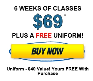 Syosset Martial Arts Center academy photo