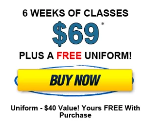 Syosset Martial Arts Center academy photo