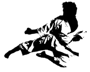 Syosset Martial Arts Center academy photo