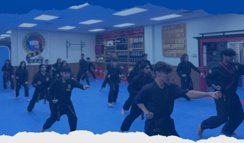 Taecole Tae Kwon Do & Fitness academy photo