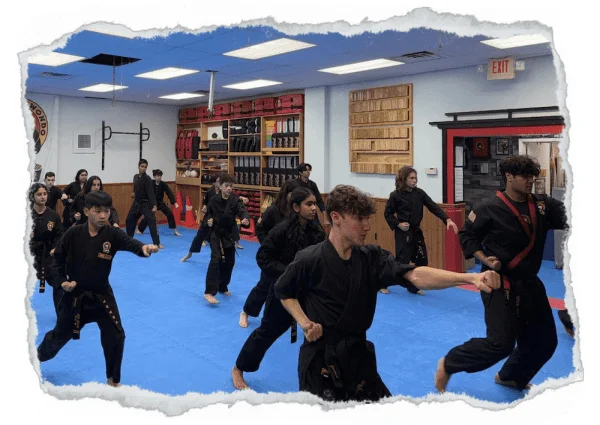 Taecole Tae Kwon Do & Fitness academy photo