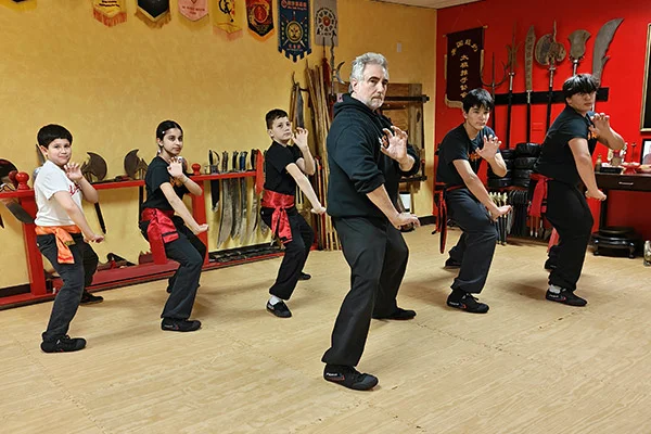 Ten Tigers Kung Fu Academy academy photo