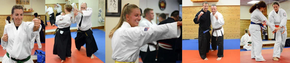 The Nokado School of Self Defense academy logo