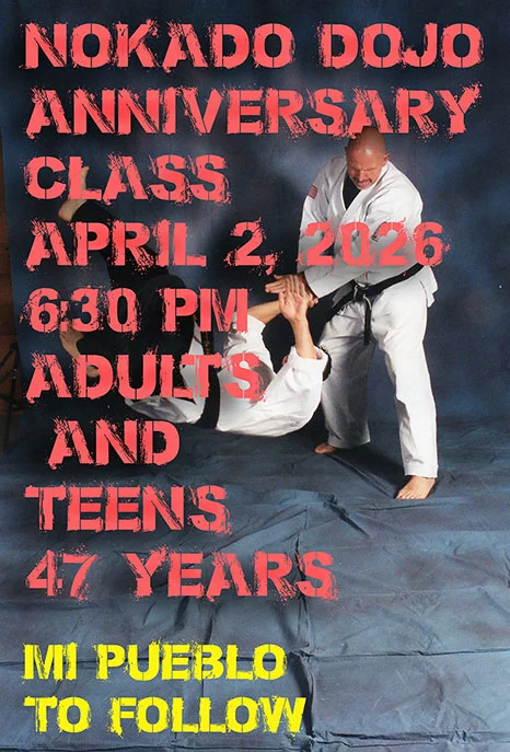The Nokado School of Self Defense academy photo