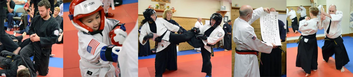 The Nokado School of Self Defense academy photo