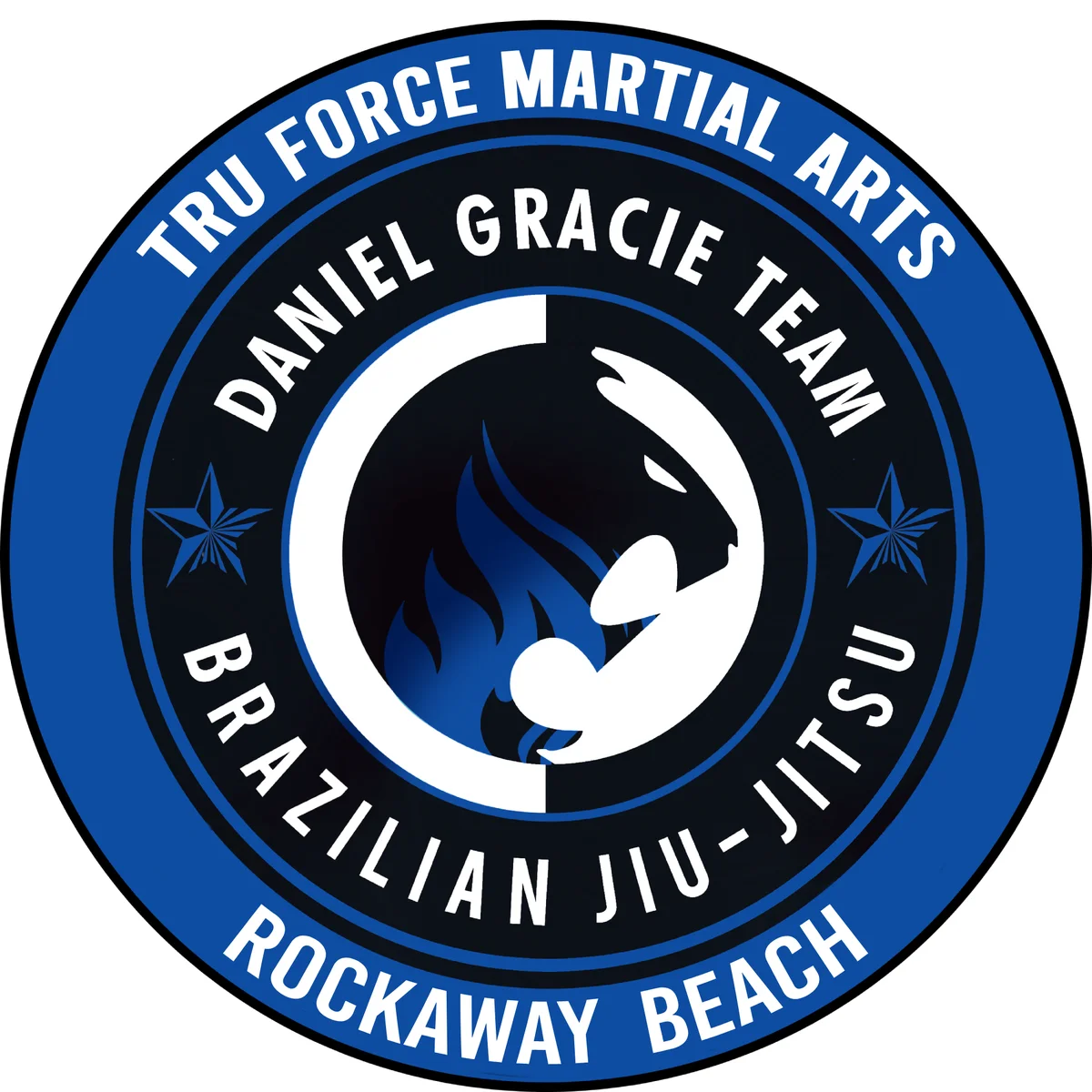 Tru Force Martial Arts / Daniel Gracie Team academy photo
