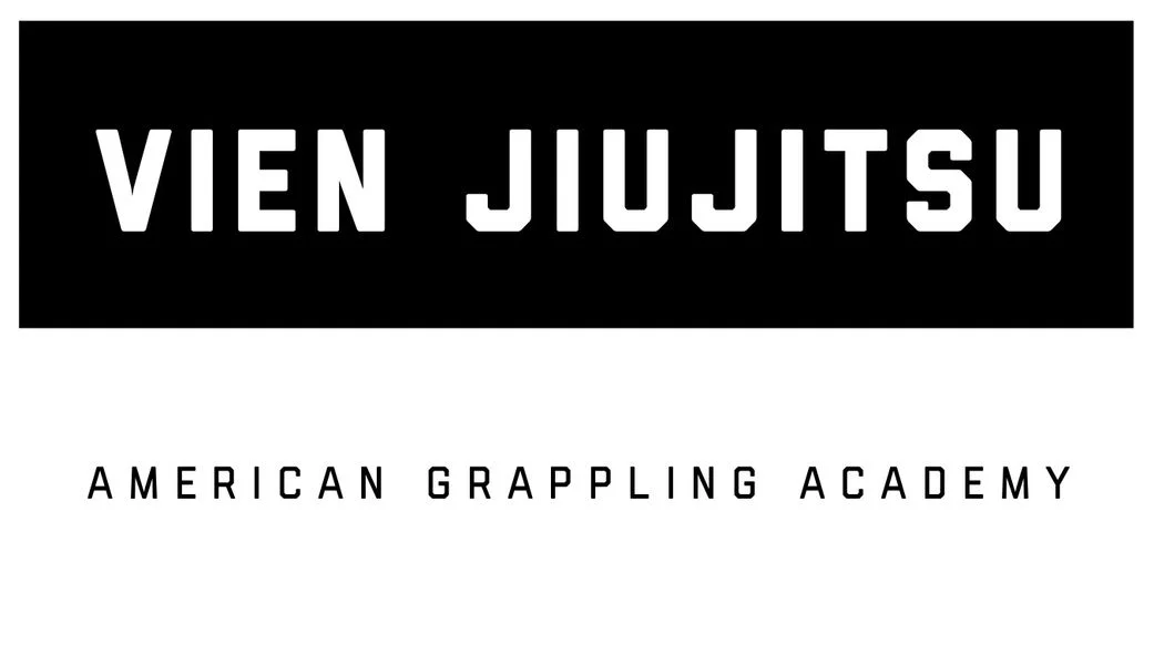 Vien Jiujitsu academy photo