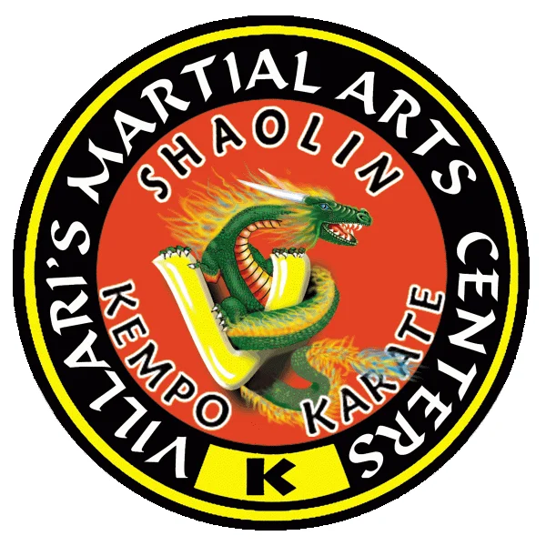 Villari's Martial Arts Centers academy photo