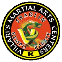 Villari's Martial Arts Centers academy logo