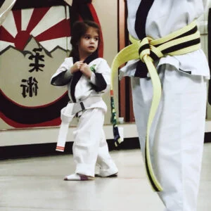 Warrior Jiu-Jitsu academy photo