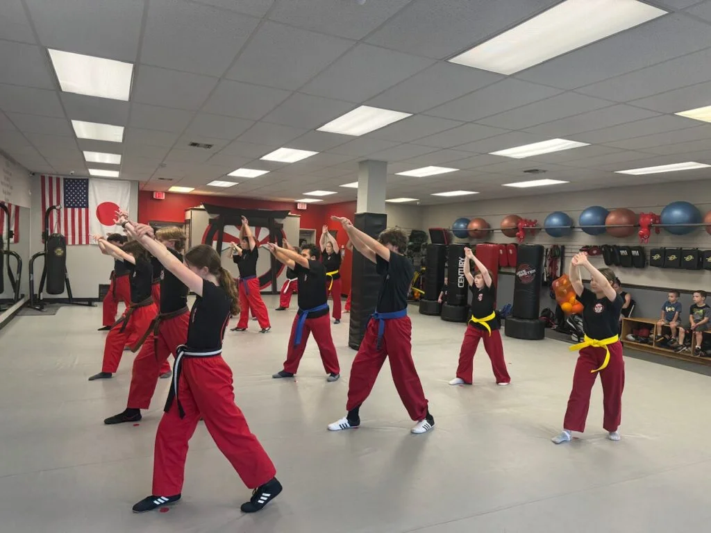 Warrior Jiu-Jitsu academy photo