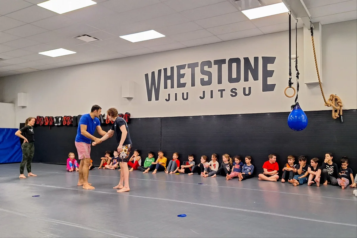 Whetstone Jiu Jitsu academy photo