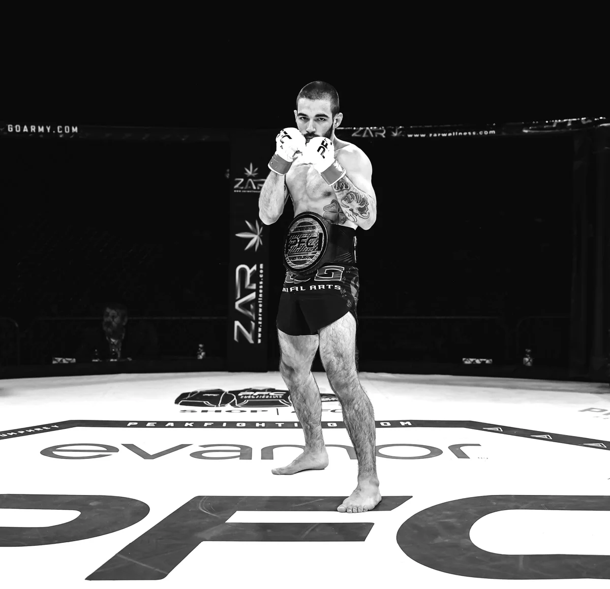 Elite Combat Systems (Gym) academy photo