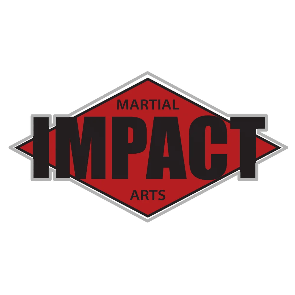 Impact Martial Arts Clinton academy photo