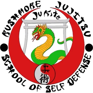 Rushmore Ju Jitsu academy photo