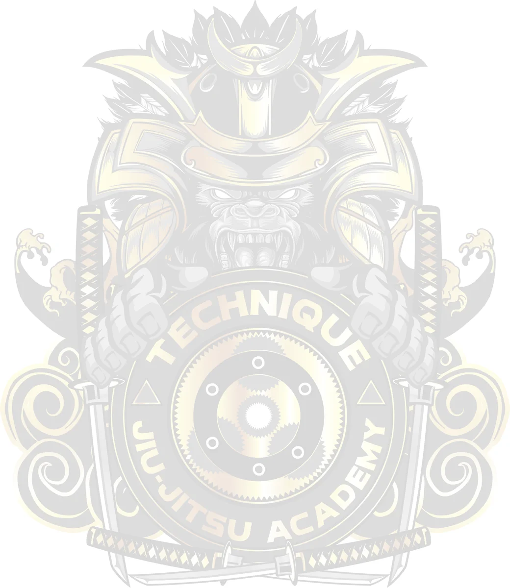 Technique JIU-JITSU ACADEMy facility image