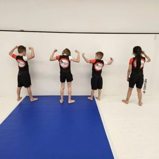 7 Virtues Jiu-Jitsu academy photo