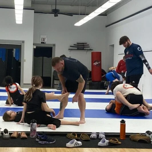 7 Virtues Jiu-Jitsu academy photo
