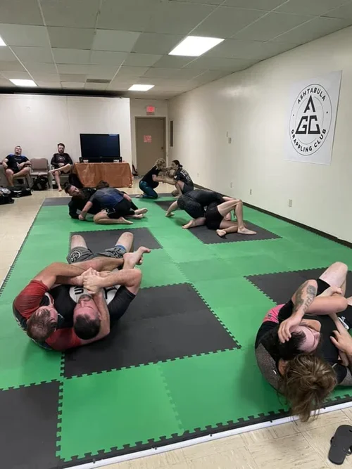 AGC (Bulagrappling) academy photo