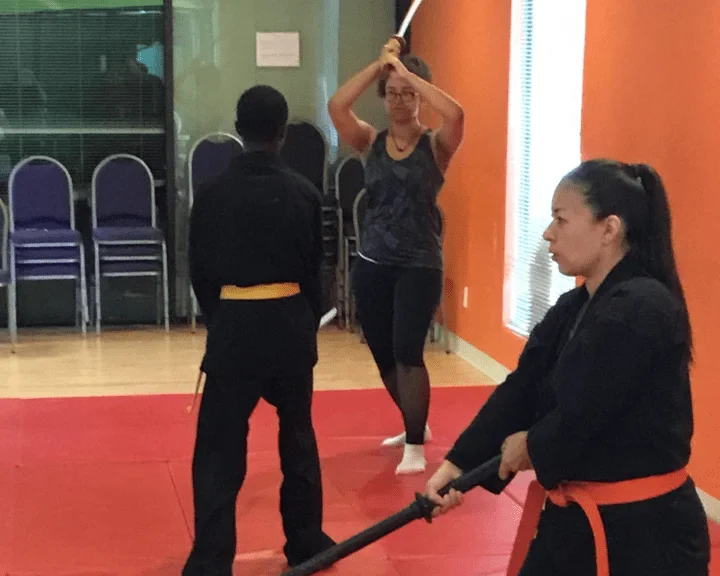 BUDO MARTIAL ARTS ACADEMY academy photo