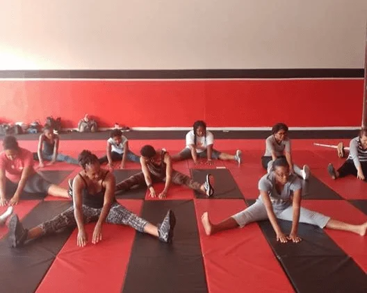 BUDO MARTIAL ARTS ACADEMY academy photo