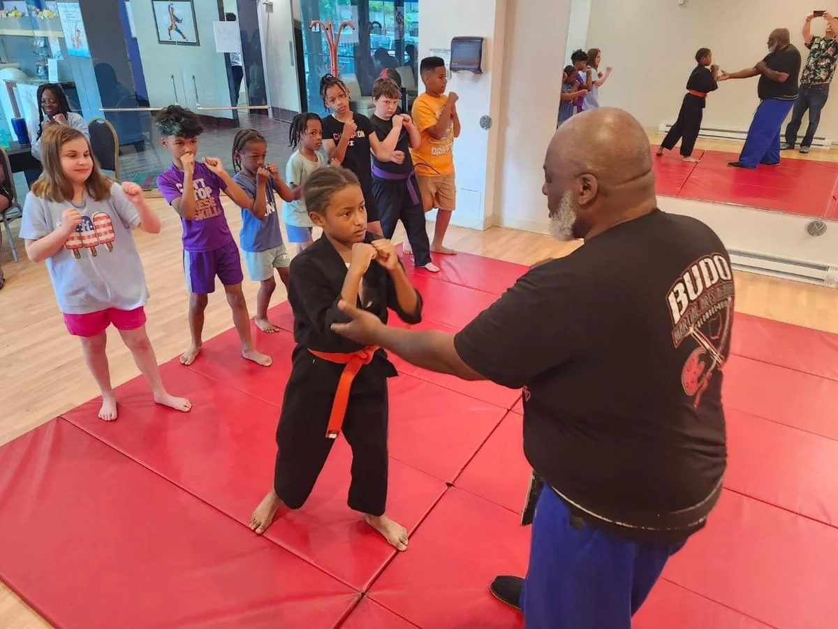 BUDO MARTIAL ARTS ACADEMY academy photo
