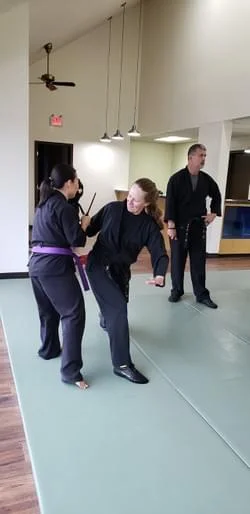 BUDO MARTIAL ARTS ACADEMY academy photo