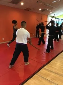BUDO MARTIAL ARTS ACADEMY academy photo