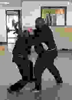 BUDO MARTIAL ARTS ACADEMY academy photo