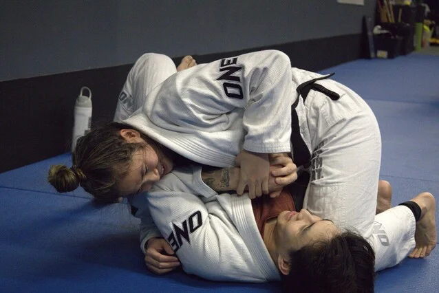 control martial arts visual