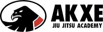 Findlay Jiu-Jitsu Academy academy logo