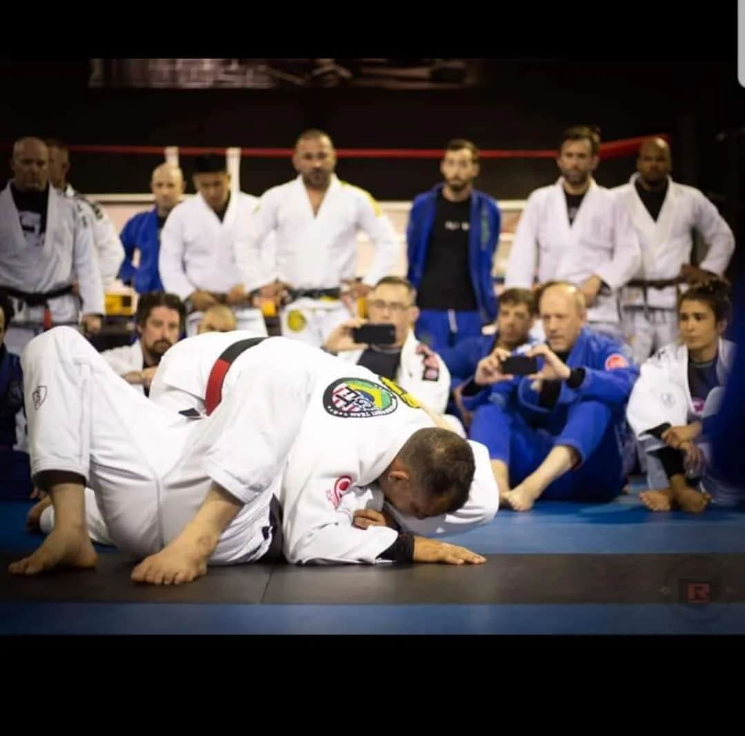 Functions of Brazilian Jiu Jitsu visual