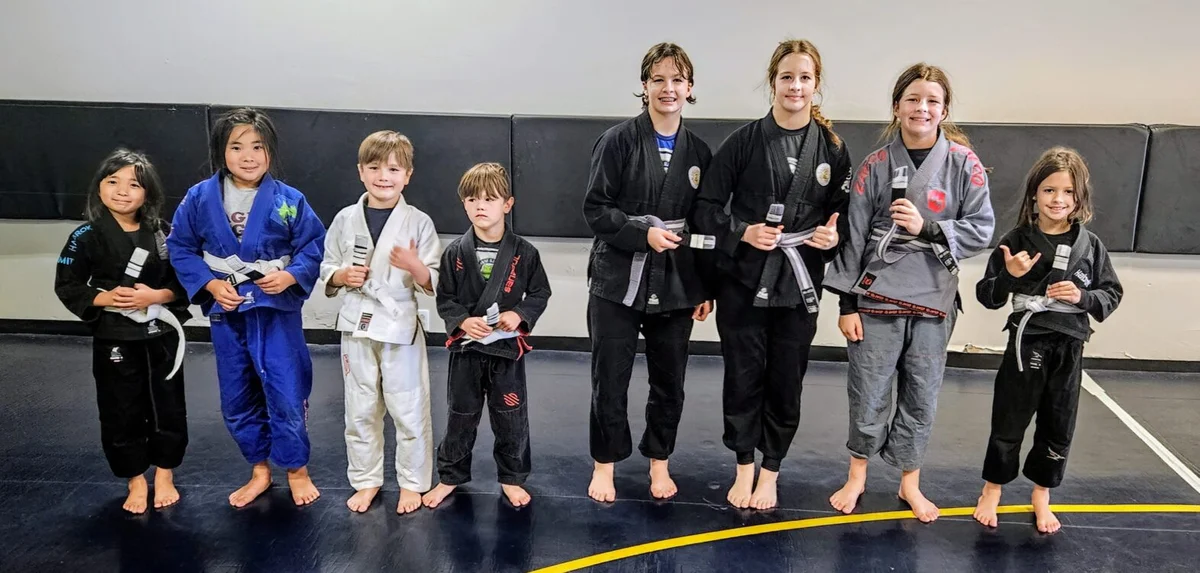 Functions of Brazilian Jiu Jitsu academy photo