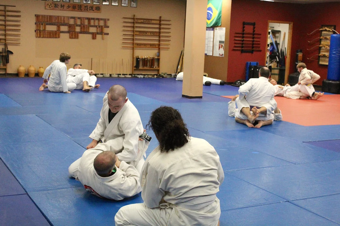 Gracie/Sauer Jiujitsu academy photo