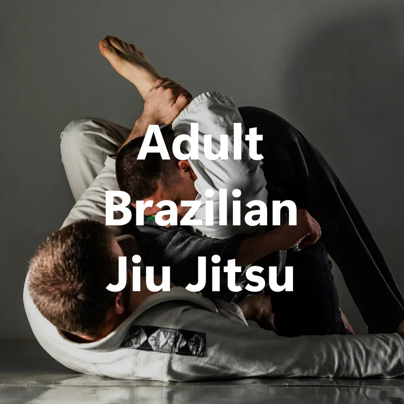 Gracie/Sauer Jiujitsu visual
